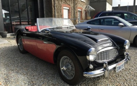 Austin Healey 100  Année 1959 voiture de collection à vendre