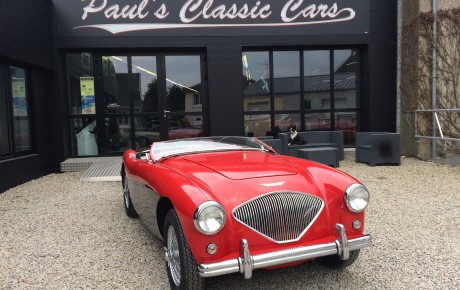 Austin Healey  Année 1956 voiture de collection à vendre