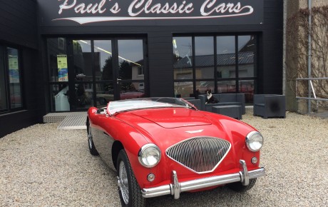 Austin Healey  '1956