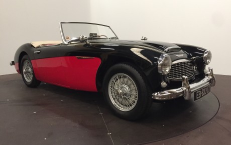 Austin Healey 100  '1959