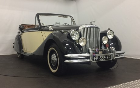 Jaguar  '1950