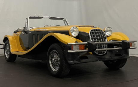 Panther Lima  Année 1980 voiture de collection à vendre