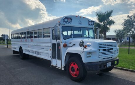 School Bus  Année 1986 voiture de collection à vendre