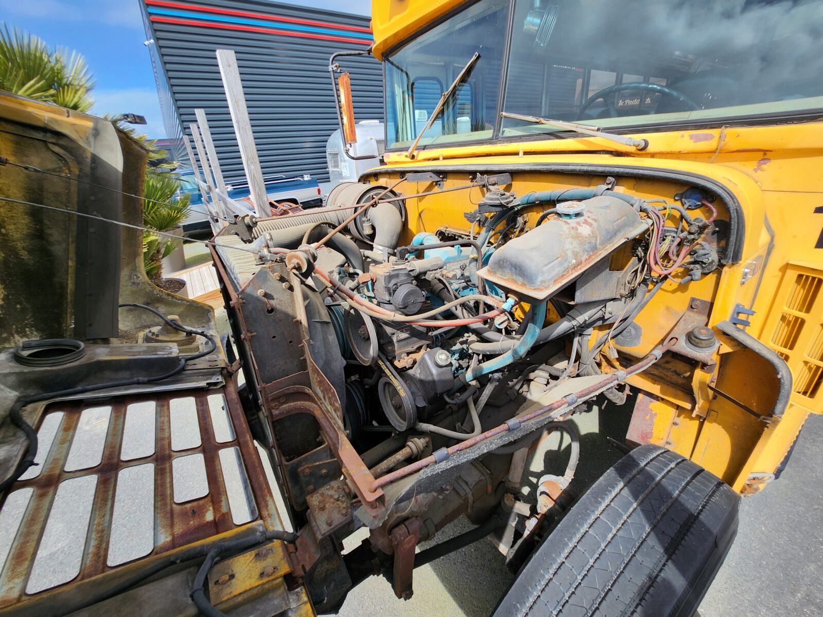 School Bus Année 1986 voiture de collection à vendre